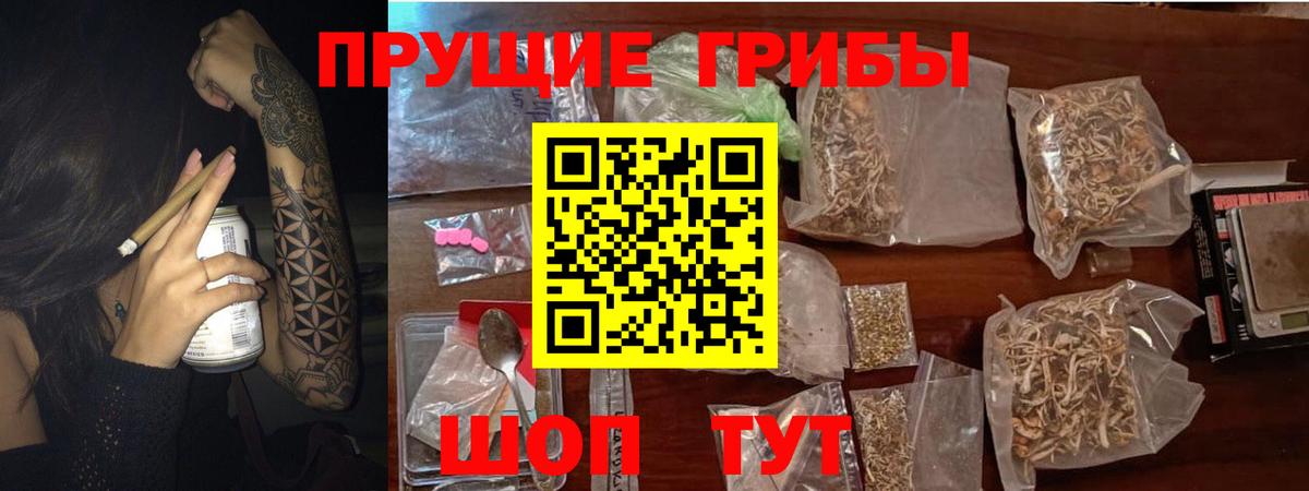 Стрежевой  Галлюциногенные грибы мицелий  Вход с VPN 